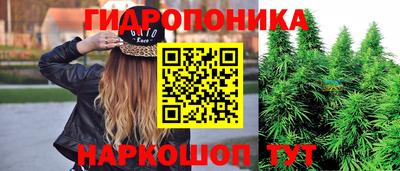 альфа пвп Обь