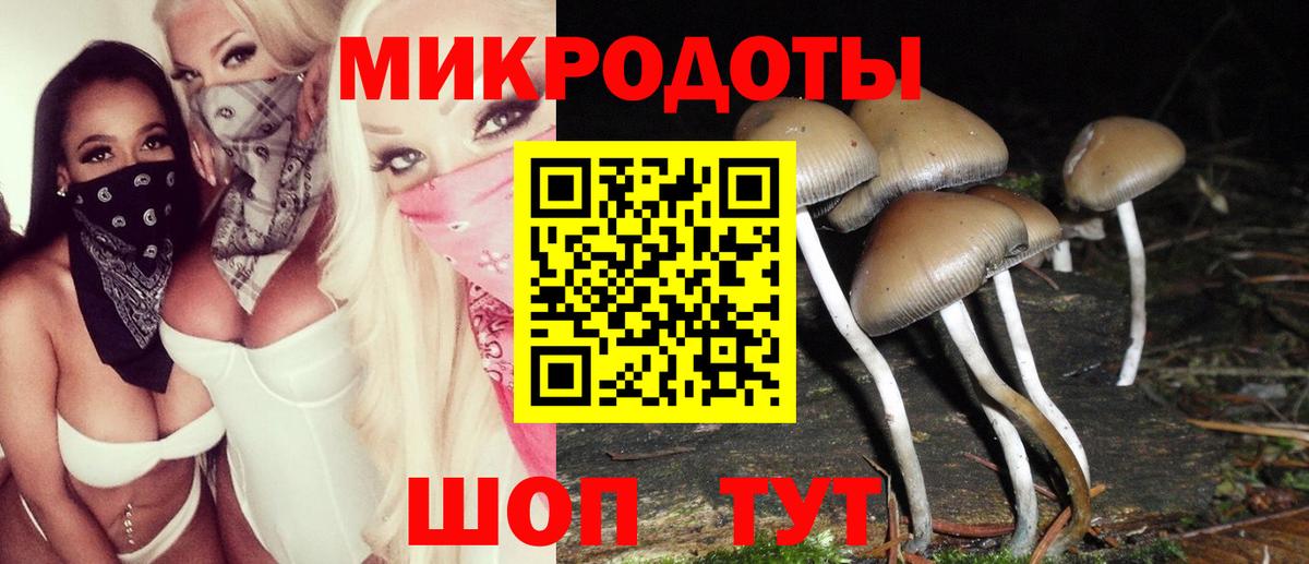 Псилоцибиновые грибы Psilocybine cubensis Урус-Мартан